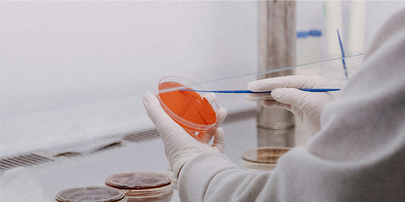 告別人工誤差：這款微生物細(xì)胞計數(shù)儀，用亞甲基藍(lán)原理算準(zhǔn)酵母活率