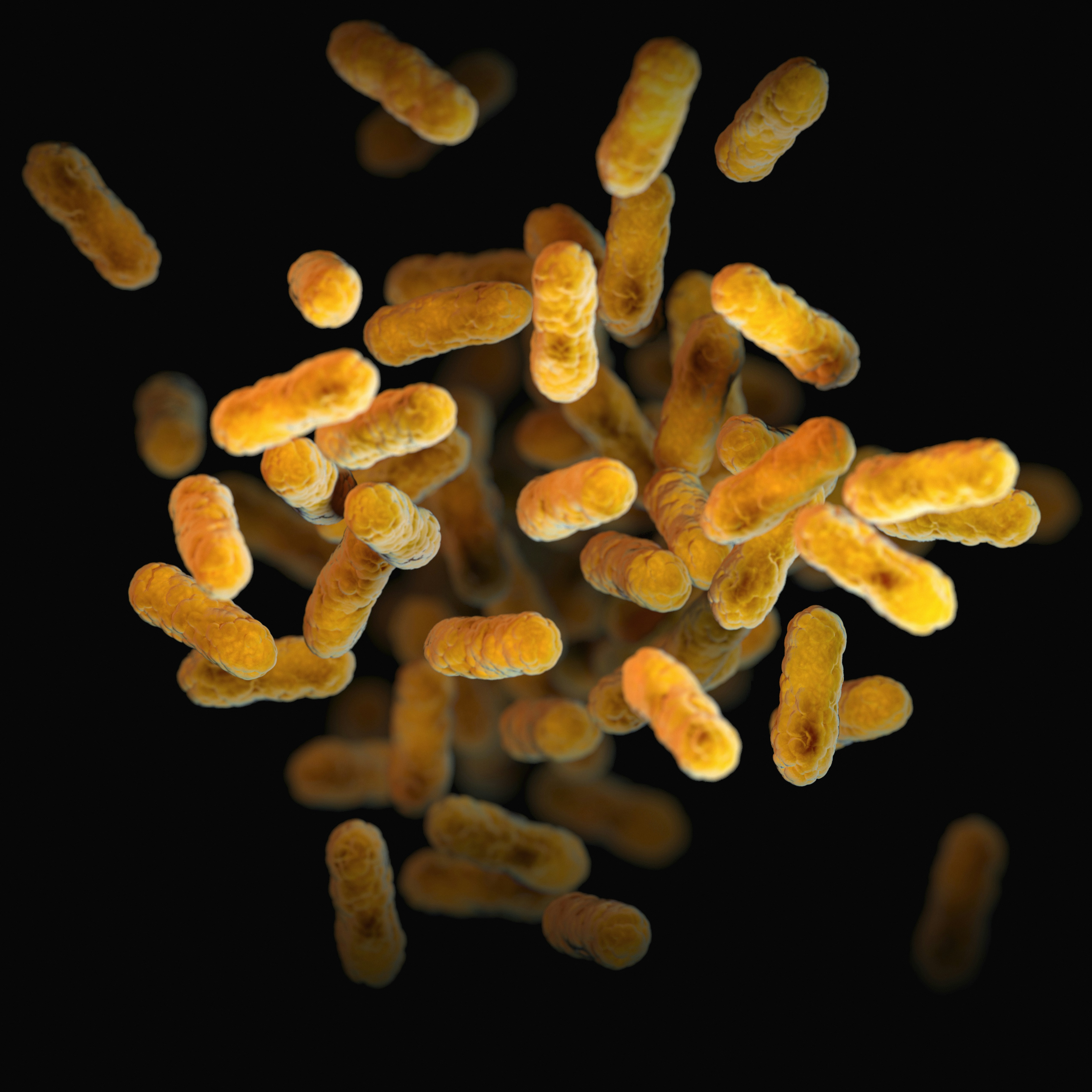 聚焦2025微生物學(xué)術(shù)年會(huì)：博大博聚帶您解鎖細(xì)菌檢測(cè)技術(shù)新范式