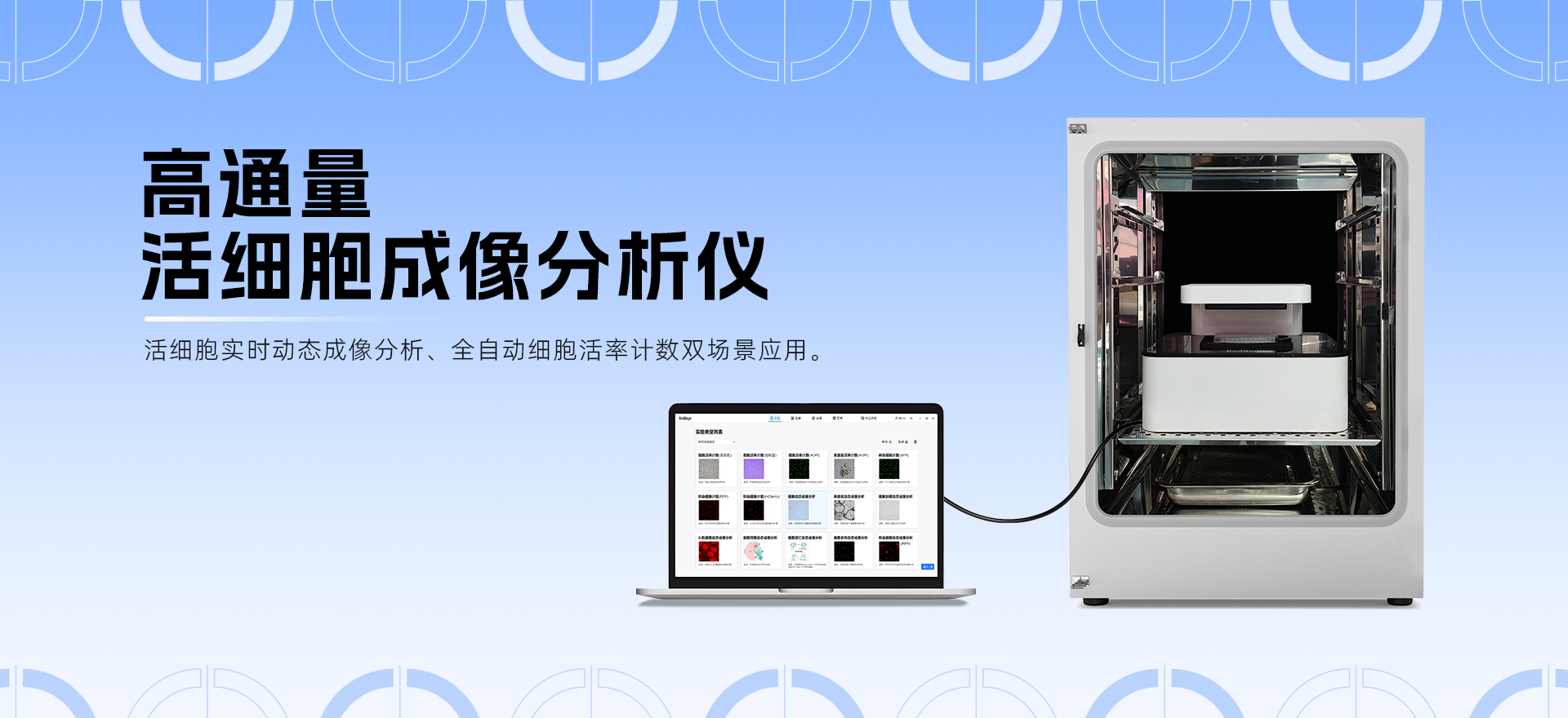 高通量活細(xì)胞成像分析技術(shù)在病毒空斑實(shí)驗(yàn)中的應(yīng)用